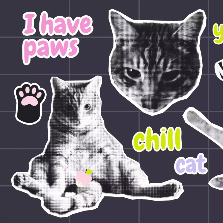 Cat Stickers